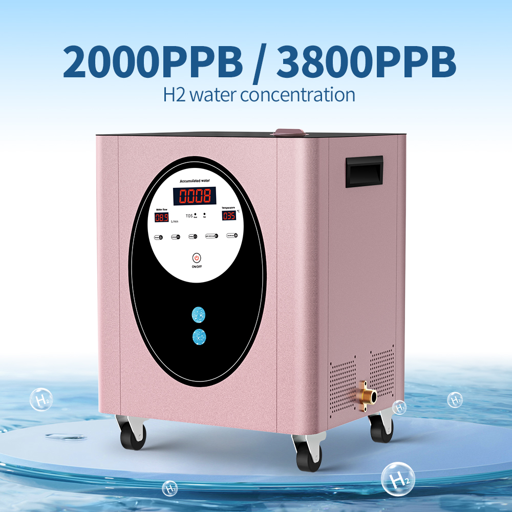 SUYZEKO Whole House Hydrogen W - đánh giá và giá Spa Wellness Health
